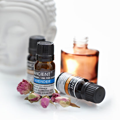 Lavender Essential Oil 10ml