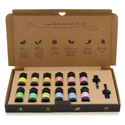 Starter Pure Essential Oils Set | 12 Variations | Aromatherapy | Natural Scents