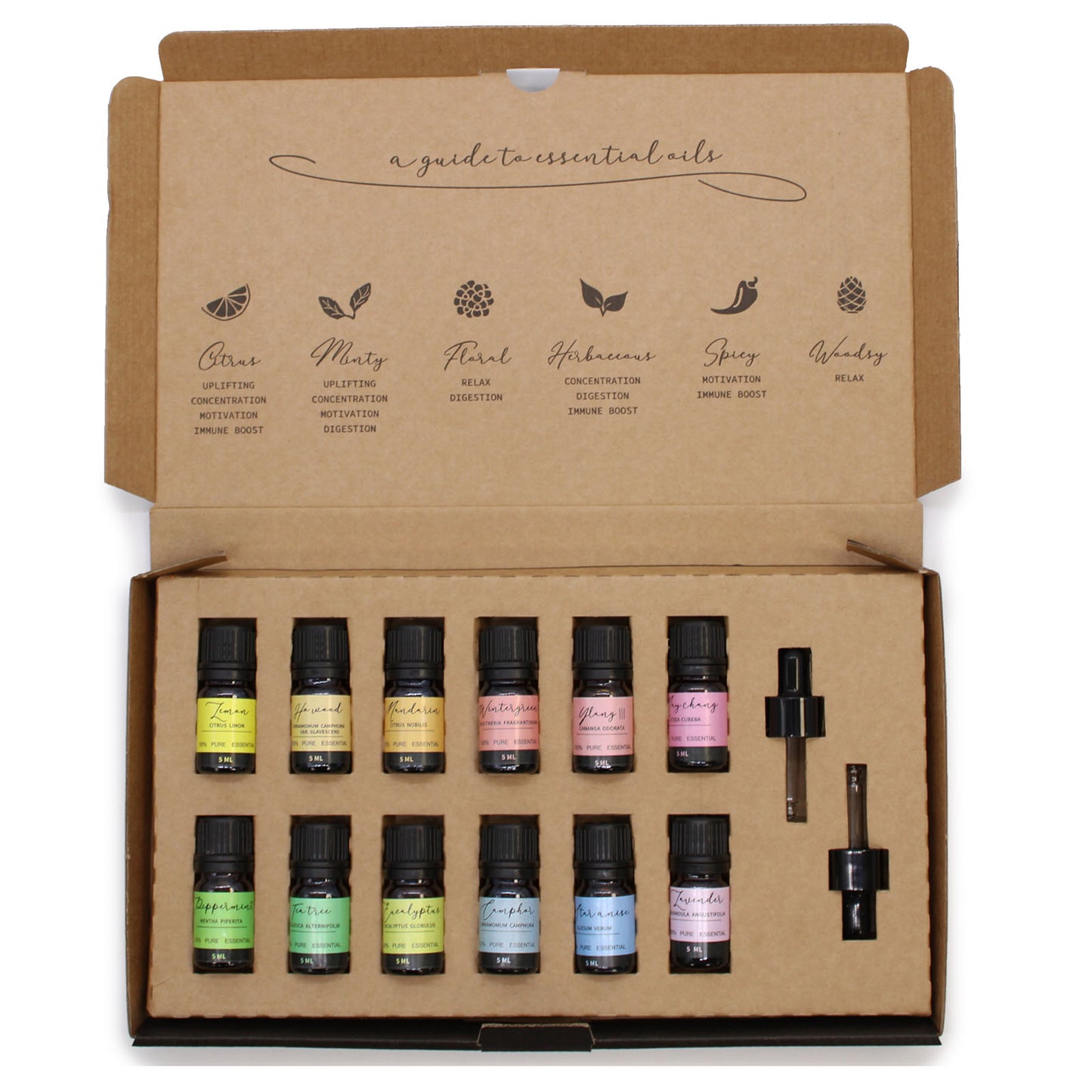 Starter Pure Essential Oils Set | 12 Variations | Aromatherapy | Natural Scents