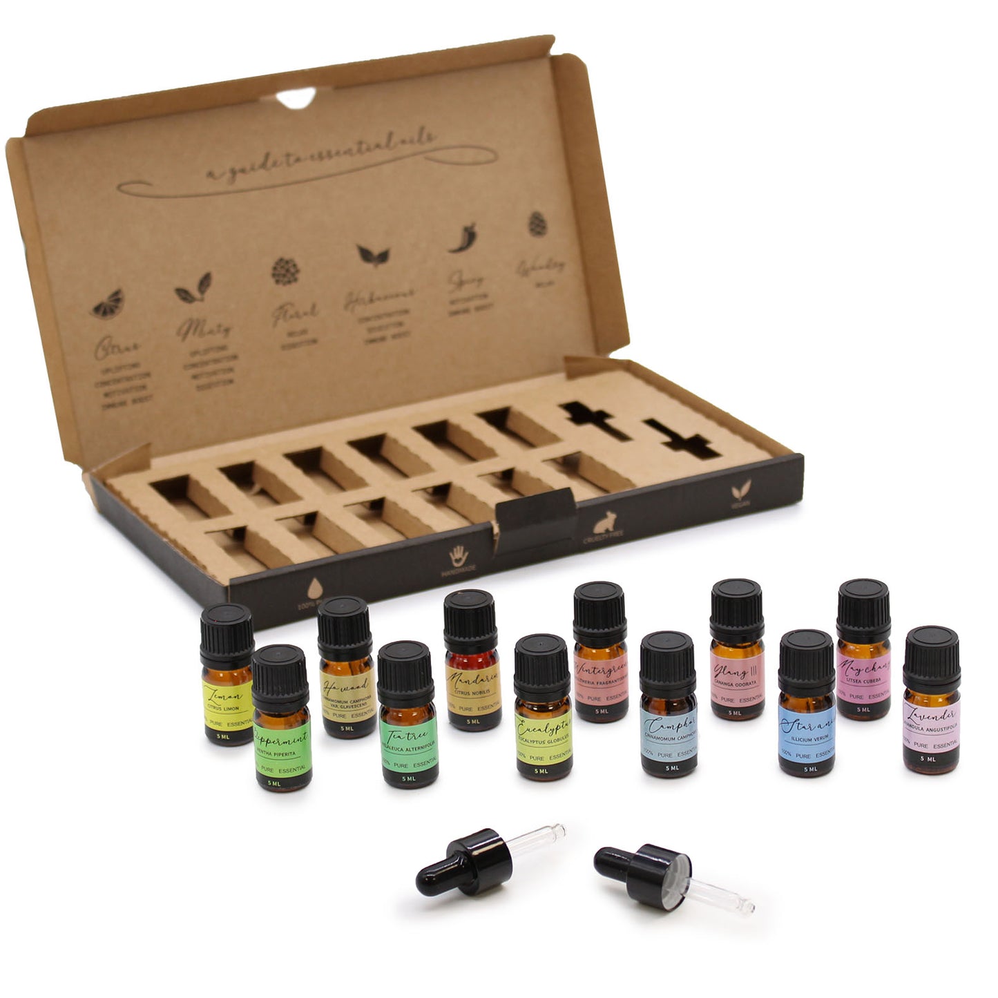 Starter Pure Essential Oils Set | 12 Variations | Aromatherapy | Natural Scents