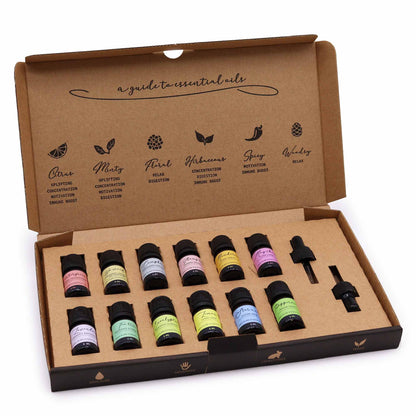 Starter Pure Essential Oils Set | 12 Variations | Aromatherapy | Natural Scents