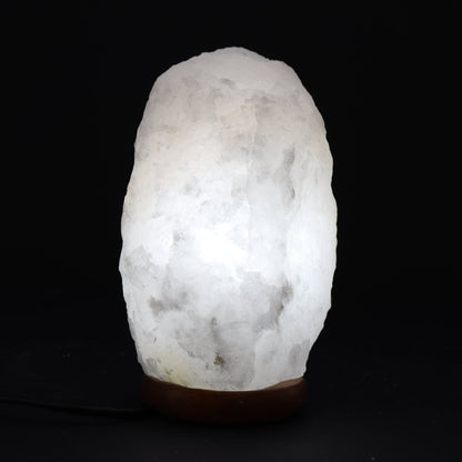 Crystal Rock Himalayan Salt Lamp - Medium