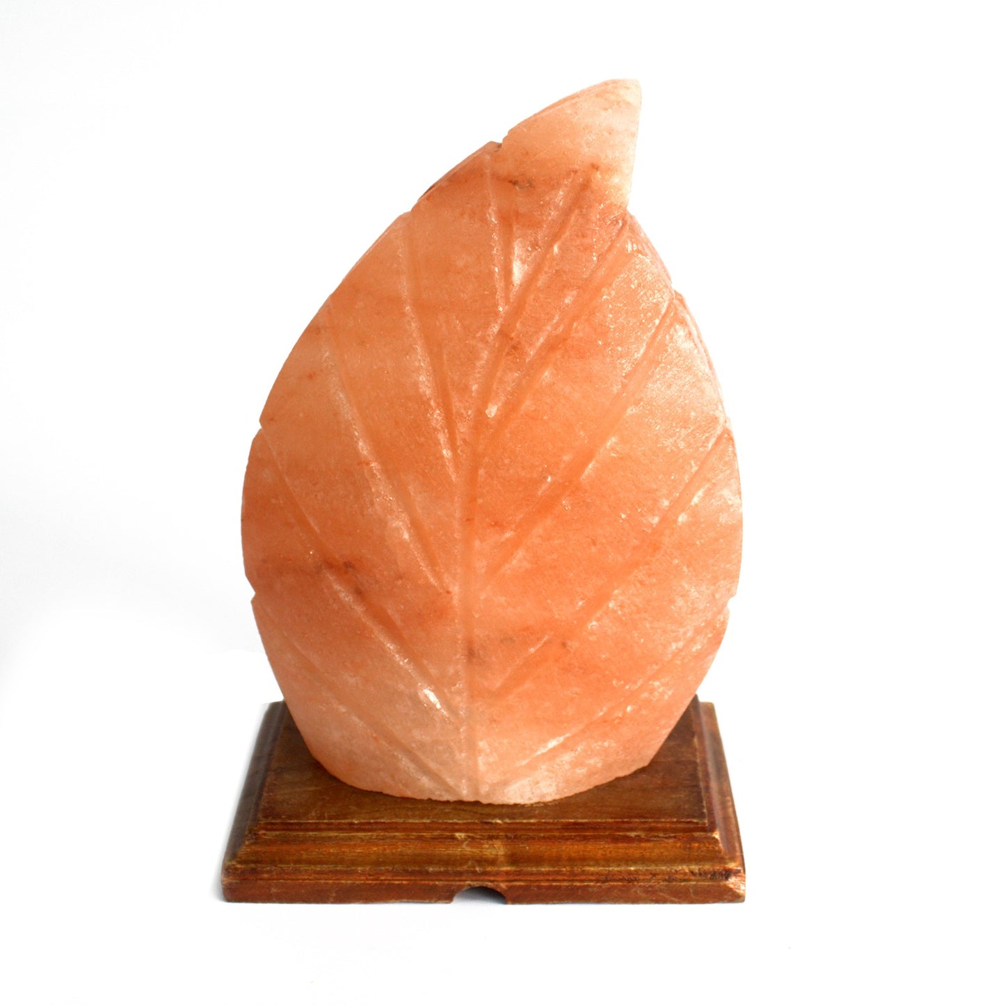 Crafted Himalayan Salt Lamp - Fern