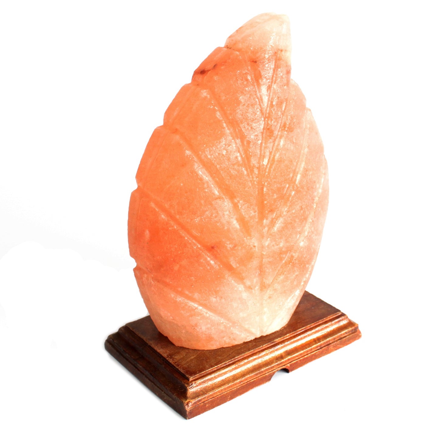 Crafted Himalayan Salt Lamp - Fern