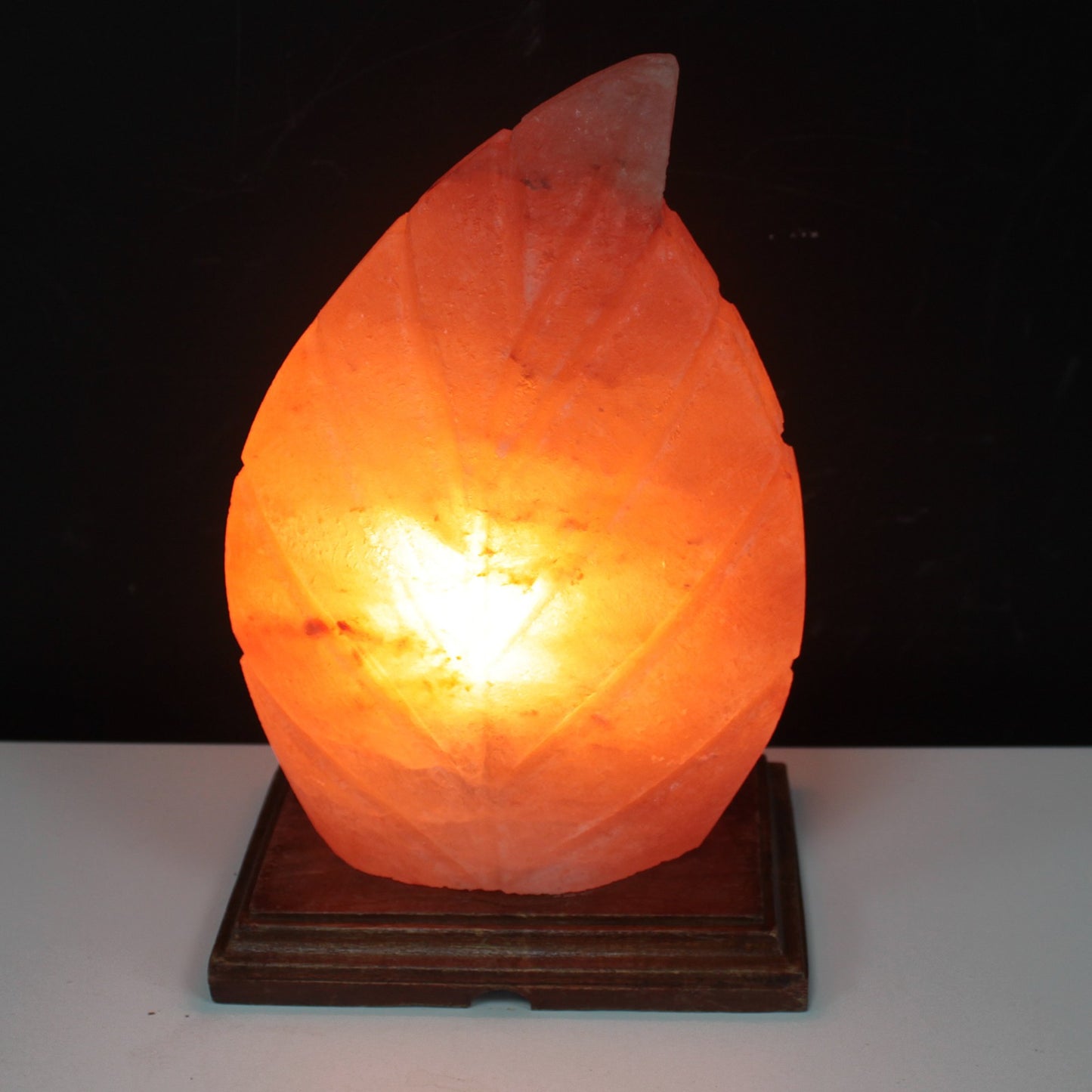 Crafted Himalayan Salt Lamp - Fern