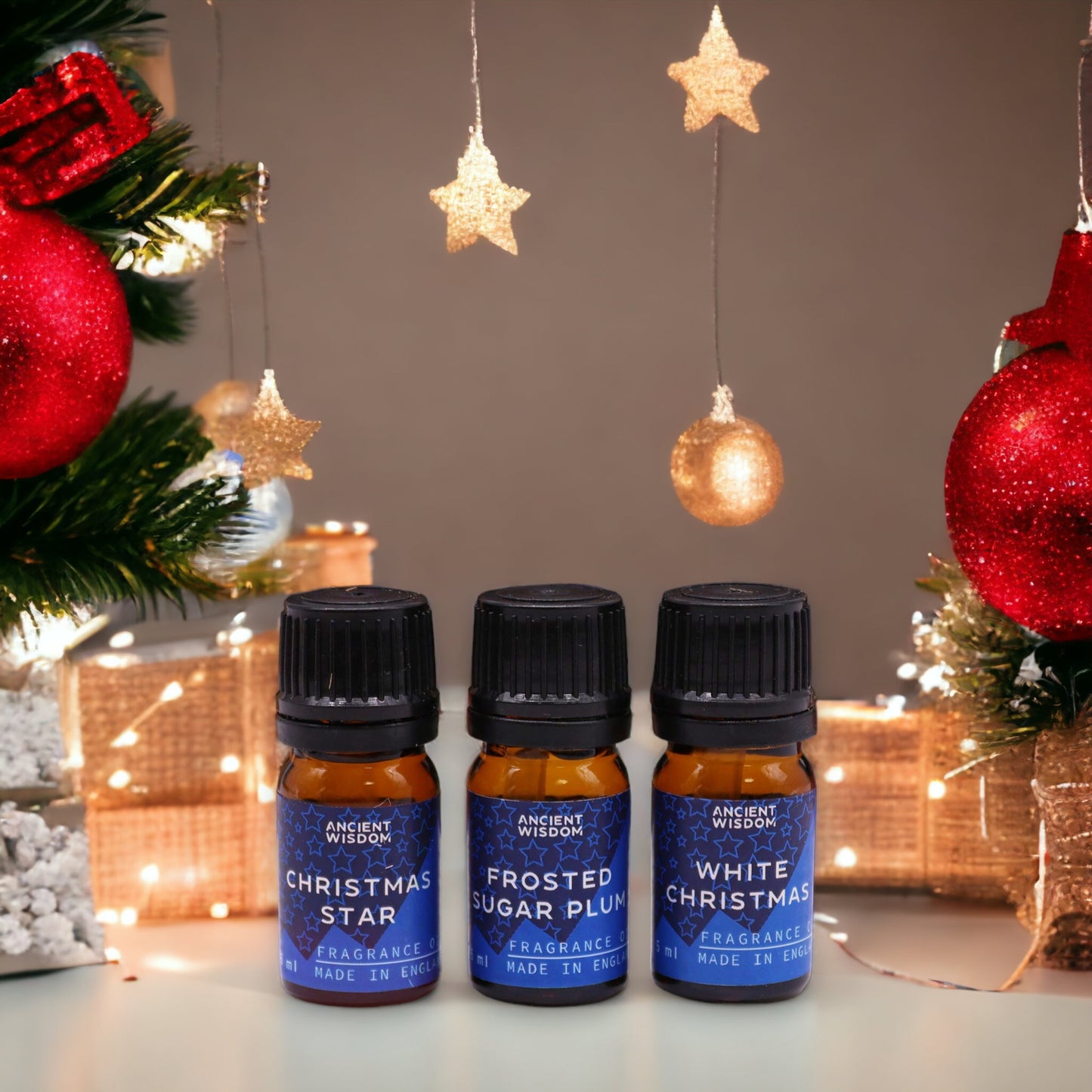 Festive Delights - Fragrance Oils Set